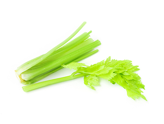 포토 JPG 해외이미지 식물 음식 줄기 백그라운드 잎 농업 다이어트 채소 재료 자연 파슬리 건강 사람없음 초록색 흰색 신선 양념 그룹 자르기 민트 허브 향신료 싱글 유기농 날것 아로마 향 내추럴 녹말 떠남 채식주의자 해외202004 해외포토 웰빙 산업 컬러 모션 생태계 채식 향미료 파일형식 이미지허브