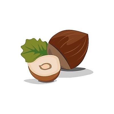 EPS 해외이미지 식물 잎 일러스트 자연 건강 갈색 견과류 먹기 유기농 내추럴 개암나무 단백질 개암 해외202004 해외일러스트 나무 웰빙 열매 컬러 모션 생태계 영양소 파일형식 벡터 이미지허브