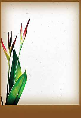 포토 JPG 해외이미지 식물 디자인 꽃잎 꽃 종이 줄기 꽃다발 백그라운드 꽃무늬 자연 표면 미술 사람없음 장식 초록색 갈색 머리 벚꽃 허브 부식 싱글 질감 복고 슛 페이지 그런지 방법 블루벨 영원 옛날 파스텔톤 해외202004 해외포토 컬러 무늬 문화예술 신체부위 생태계 파일형식 이미지허브