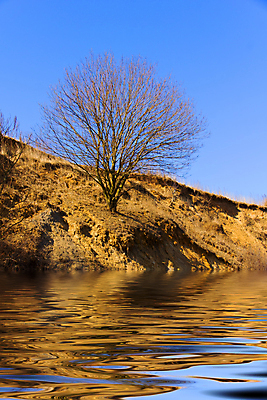 포토 JPG 해외이미지 나무 식물 호수 모래 파도 바다 하늘색 자연 하늘 국립공원 풍경 사람없음 물 파란색 모래사장 반사 봄 모래언덕 해외202004 해외포토 자연요소 계절 공원 컬러 언덕 생태계 파일형식 이미지허브