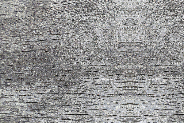 포토 JPG 해외이미지 백그라운드 패턴 표면 사람없음 목재 갈색 거친 질감 잡동사니 수목 옛날 해외202004 해외포토 나무 컬러 무늬 재료 파일형식 이미지허브