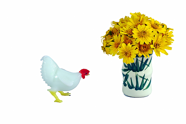 포토 JPG 해외이미지 식물 꽃잎 꽃 잎 부활절 국화 사람없음 내부 장식 봄 벚꽃 도자기 배열 향기 아로마 해외202004 해외포토 계절 기념일 냄새 파일형식 이미지허브