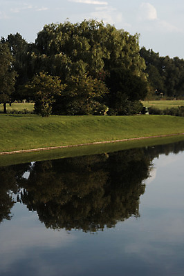 포토 JPG 해외이미지 나무 식물 구름 꽃 호수 바다 여행 잎 자연 하늘 그림자 풍경 사람없음 야외 목재 초록색 물 파란색 태양 반사 환경 맑음 흰색 나뭇가지 연못 신선 만 분위기 숲 내추럴 깊이 대칭 해외202004 해외포토 자연요소 컬러 컨셉 재료 날씨 생태계 파일형식 이미지허브