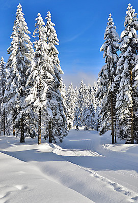 포토 JPG 해외이미지 나무 구름 계절 도로 길 스포츠 십자가 겨울 자국 자연 하늘 휴가 스키 산 풍경 사람없음 야외 목재 파란색 운동 추위 흰색 신선 숲 북쪽 선로 해외202004 해외포토 자연요소 식물 컬러 재료 교통시설 겨울스포츠 건강 방향 생태계 파일형식 이미지허브