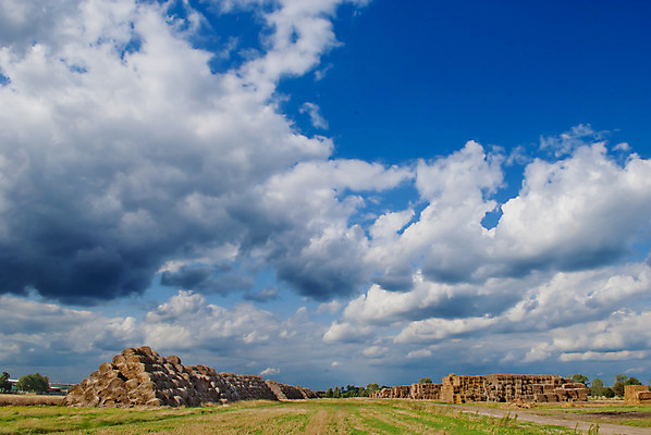포토 JPG 해외이미지 백그라운드 밭 농업 하늘 건조 풍경 사람없음 여름 파란색 농장 노란색 쌓기 마을 수확 시골 황금 볏짚 낟알 밀짚 해외202004 해외포토 계절 산업 컬러 모션 짚 파일형식 이미지허브