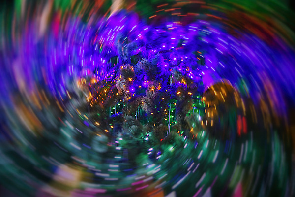 포토 JPG 해외이미지 나무 전통 디자인 행복 별 백그라운드 크리스마스 겨울 노래 텍스트 휴가 전등 새로움 프레임 사람없음 장식 초록색 빛 갈색 우주 검은색 축제 장식볼 수확 종 축하 인사 신용카드 황금 고급 은색 연도 오브젝트 복고 2018년 고립 엘리먼트 옛날 2017년 카피스페이스 해외202004 해외포토 자연요소 식물 계절 기념일 감정 음악 컬러 컨셉 농업 조명 금융 공백 예절 파일형식 이미지허브