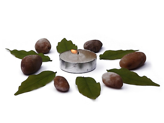 포토 JPG 해외이미지 식물 잎 패턴 오렌지 모션 휴식 조명 건강 사람없음 초록색 세계 평화 화목 11월 심볼 명상 전쟁 기념물 테라피 내추럴 고립 해외202004 해외포토 컬러 컨셉 무늬 과일 뷰티 날짜 파일형식 이미지허브