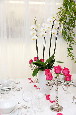 포토 JPG 해외이미지 접시 디자인 꽃 가구 탁자 실내 사람없음 내부 장식 고급 닫기 오브젝트 스타일 해외202004 해외포토 식물 식기 생활용품 컨셉 모션 파일형식 이미지허브