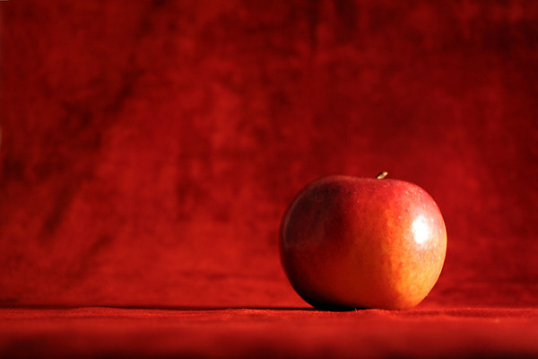 포토 JPG 해외이미지 나무 과일 회사 씨앗 사람없음 빨간색 장미 껍질 원형 달콤 사과 피부 수류탄 식용 핵심 억울 해외202004 해외포토 도형 식물 꽃 감정 무기 컬러 비즈니스 신체부위 맛 파일형식 이미지허브