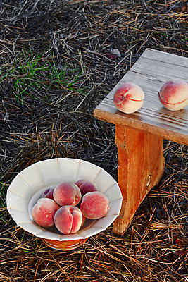 포토 JPG 해외이미지 라이프스타일 음식 다이어트 과일 자연 디저트 건강 사람없음 빨간색 노란색 꽃병 침묵 신선 그룹 달콤 맛 먹기 상쾌 유기농 날것 복숭아 내추럴 숙성 채식주의자 천도복숭아 해외202004 해외포토 웰빙 꽃 감정 컬러 컨셉 모션 생활 소리 생태계 채식 파일형식 이미지허브