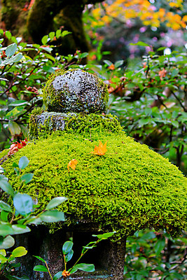 포토 JPG 해외이미지 나무 식물 계절 공원 실루엣 도로 여행 백그라운드 무지개 잎 패턴 자연 하늘 지붕 휴식 풍경 사람없음 빨간색 파란색 빛 컬러풀 햇빛 태양 정원 일본 활발 덮개 가을 나뭇가지 신선 보행로 닫기 숲 그늘 오솔길 강렬 해외202004 해외포토 자연요소 공공시설 아시아 길 컬러 컨셉 무늬 교통시설 모션 촬영기법 뚜껑 생태계 파일형식 이미지허브