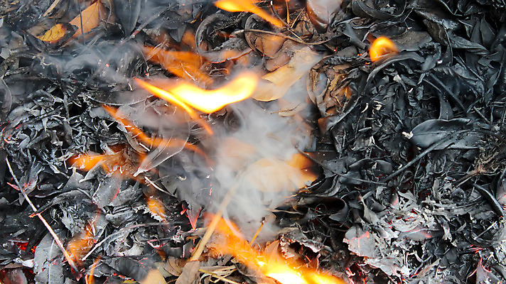 포토 JPG 해외이미지 백그라운드 오렌지 추상 따뜻함 사람없음 빨간색 빛 노란색 뜨거움 장작 모닥불 질감 매움 숯 연소 광 석탄 재 화상 해외202004 해외포토 컬러 무늬 과일 불 맛 상처 파일형식 이미지허브