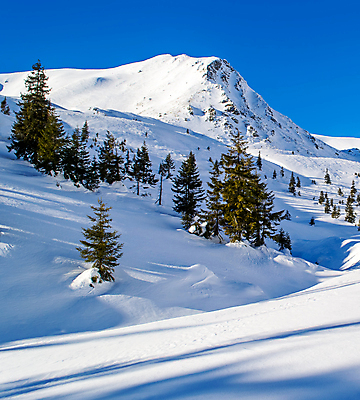 포토 JPG 해외이미지 나무 계절 여행 겨울 자연 하늘 산 그림자 풍경 경사 사람없음 야외 파란색 빛 햇빛 환경 맑음 추위 흰색 소나무 정상 저녁 돌산 고도 산등성이 서리 장면 산악지대 우크라이나 절정 눈내림 해외202004 해외포토 식물 유럽 컬러 날씨 눈_날씨 태양 야간 생태계 파일형식 이미지허브