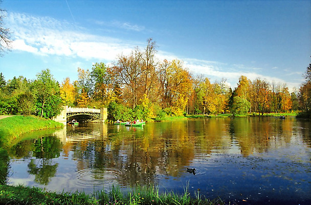 포토 JPG 해외이미지 나무 구름 공원 호수 잎 자연 하늘 날씨 휴식 오리 사람 풍경 사람없음 야외 파란색 반사 가을 보트 만족 그림 노젓기 해외202004 해외포토 자연요소 식물 계절 공공시설 감정 컬러 컨셉 배_교통 모션 조류 생태계 파일형식 이미지허브