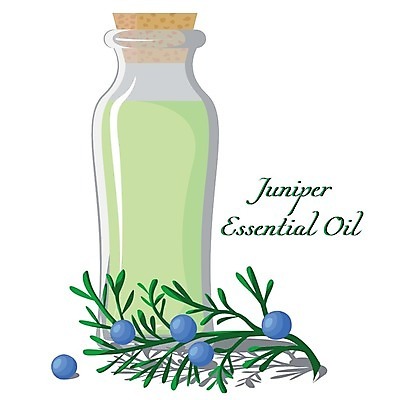 EPS 해외이미지 식물 라이프스타일 꽃다발 잎 일러스트 유리 유리병 휴식 초록색 스파 화장품 신선 마사지 맛 허브 가득함 향수 플라스크 흰배경 향기 아로마 아로마테라피 테라피 악취 내추럴 고립 돌봄 치유 향나무 해외202004 해외일러스트 나무 꽃 컬러 백그라운드 컨셉 모션 재질 병_용기 실험기구 생활 뷰티 흰색 냄새 파일형식 벡터 이미지허브