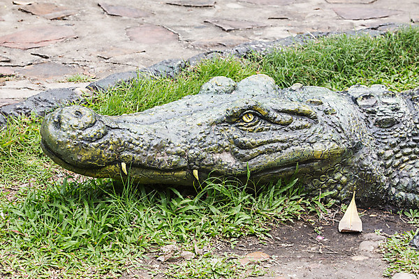 포토 JPG 해외이미지 동물 아시아 호수 야생동물 파충류 자연 생물 동물원 저울 사람없음 초록색 물 강 반사 머리 힘 흰색 오픈 입 황무지 치아 위험 큼 가죽 피부 묘사 눈금 영토 육식동물 악어 사냥꾼 북쪽 주둥이 소금물 힘찬 해외202004 해외포토 자연요소 직업 나라 컬러 컨셉 신체부위 소화기관 크기 방향 생태계 파일형식 이미지허브