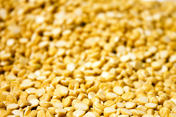 포토 JPG 해외이미지 식물 음식 패턴 농업 재료 자연 호박 해바라기 건조 세포 요리 씨앗 사람없음 농작물 노란색 상품 낟알 시리얼 밀 수집 유기농 질감 완두콩 알맹이 날것 보리 땅콩 모음 흙더미 내추럴 수수 채식주의자 호밀 많음 귀리 해외202004 해외포토 웰빙 꽃 산업 컬러 컨셉 무늬 채소 콩 곡류 흙 견과류 생태계 채식 파일형식 더미 이미지허브