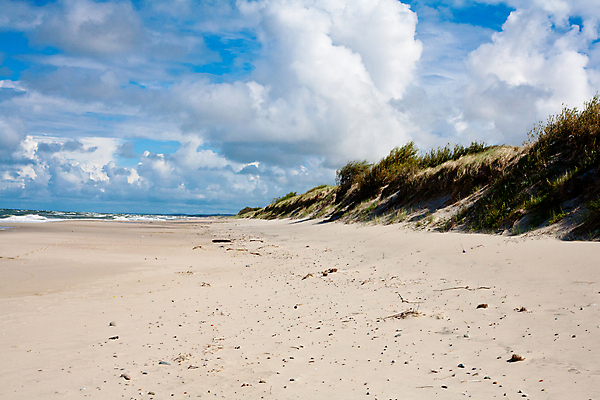 포토 JPG 해외이미지 식물 구름 모래 파도 바다 자연 바람 풍경 사람없음 야외 가로 초록색 물 파란색 거품 흰색 만 서핑 모래언덕 해외202004 해외포토 자연요소 컬러 날씨 수상스포츠 언덕 생태계 파일형식 이미지허브