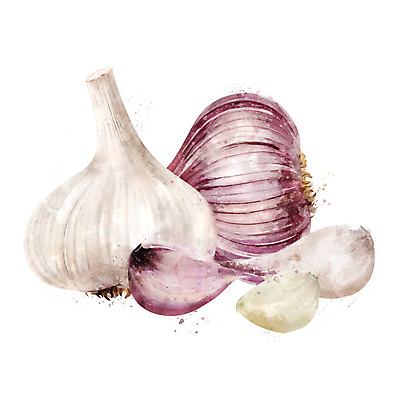 포토 JPG 해외이미지 클립아트 음식 조각 채소 일러스트 재료 포장 자연 수채화 마늘 요리 사람없음 그래픽 장식 컬러풀 라벨 주방 식당 페인트 수확 신선 맛 먹기 그림 에코 유기농 배지 내추럴 고립 숙성 채식주의자 해외202004 해외포토 웰빙 컬러 컨셉 농업 모션 프레임 환경 상점 생태계 채식 파일형식 이미지허브