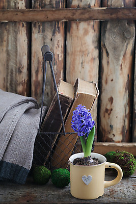 포토 JPG 해외이미지 계절 꽃 꽃다발 백그라운드 잎 꽃무늬 전구 자연 포도 부활절 사람없음 야외 장식 초록색 파란색 컬러풀 정원 보라색 봄 수확 벚꽃 흰색 인사 신선 제비꽃 속도 엽서 내추럴 블루벨 히아신스 해외202004 해외포토 식물 기념일 컬러 무늬 농업 과일 예절 편지 생태계 파일형식 이미지허브