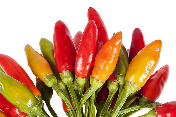 포토 JPG 해외이미지 음식 채소 오렌지 재료 자연 고추 파프리카 건강 사람없음 장식 빨간색 초록색 컬러풀 노란색 쌓기 식사 신선 양념 작음 묘사 흰배경 유기농 날것 후추 흙더미 내추럴 고립 구성 해외202004 해외포토 웰빙 컬러 백그라운드 과일 모션 흙 흰색 크기 향신료 생태계 파일형식 더미 이미지허브