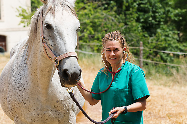 포토 JPG 해외이미지 동물 백인 직업 여자 밭 포유류 한명 사람 약 농장 가축 목장 고통 시험 의사 시골 긴급 소 군중 확인 문서 외과 수의사 송아지 돌봄 송아지고기 스페인어 아랍어 해외202004 해외포토 서양인 1 교육 감정 새끼 농업 의학 모션 병원 육류 의료진 파일형식 이미지허브