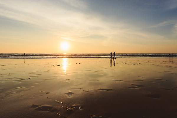 포토 JPG 해외이미지 나무 라이프스타일 실루엣 모래 바다 백그라운드 부분 태국 자연 하늘 휴가 사람없음 빨간색 물 여름 태양 일몰 흰색 달콤 내추럴 푸켓 해외202004 해외포토 자연요소 식물 계절 아시아 컬러 촬영기법 생활 노을 맛 생태계 파일형식 이미지허브