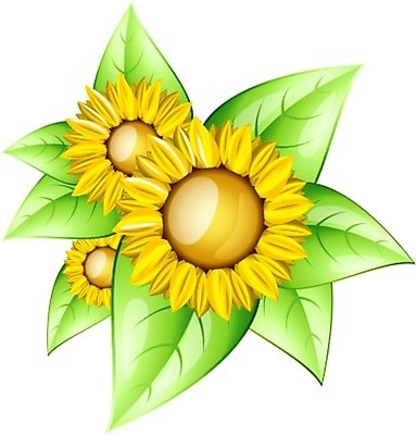 포토 JPG 해외이미지 꽃 백그라운드 잎 꽃무늬 일러스트 자연 해바라기 사람없음 여름 노란색 정원 개화 해외202004 해외포토 식물 계절 컬러 무늬 생태계 파일형식 이미지허브