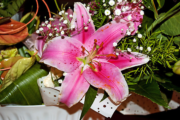 포토 JPG 해외이미지 꽃 꽃다발 오렌지 해바라기 사람없음 컬러풀 장미 꽃병 다발 배열 야광 해외202004 해외포토 식물 컬러 과일 빛 파일형식 이미지허브