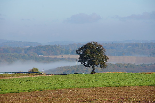 포토 JPG 해외이미지 사람없음 해외202004 해외포토 파일형식 이미지허브