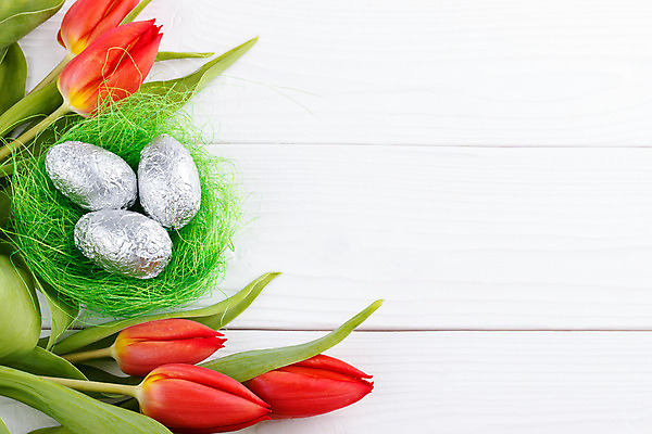 포토 JPG 해외이미지 식물 계절 꽃잎 꽃 줄기 꽃다발 백그라운드 잎 꽃무늬 자연 부활절 사람없음 장식 빨간색 초록색 컬러풀 봄 활발 튤립 벚꽃 인사 신선 화려 개화 둥지 다발 오브젝트 해외202004 해외포토 기념일 컬러 컨셉 무늬 예절 생태계 파일형식 이미지허브