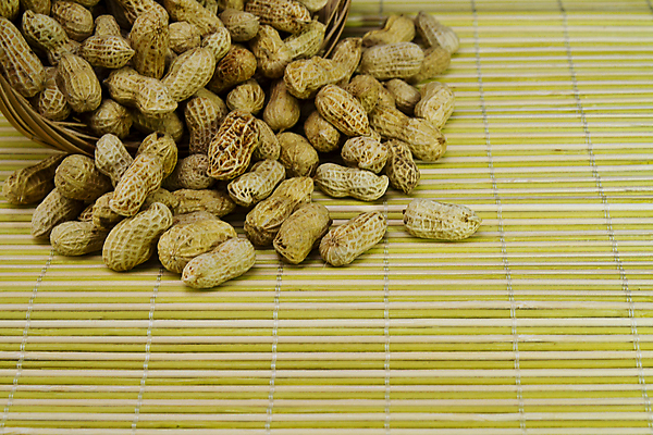 포토 JPG 해외이미지 계절 음식 백그라운드 재료 자연 건강 씨앗 사람없음 노란색 바구니 힘 에너지 견과류 매트 껍질 가을 조미료 맛 먹기 대나무 오브젝트 땅콩 향료 칼로리 흙더미 내추럴 고립 등나무 어려움 채식주의자 해외202004 해외포토 나무 식물 컬러 컨셉 모션 흙 생태계 채식 향기 냄새 향미료 파일형식 더미 이미지허브