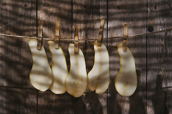 포토 JPG 해외이미지 음식 백그라운드 과일 건조 건강 사람없음 농작물 스터디 흰색 신선 유기농 날것 슬라이스 고립 숙성 해외202004 해외포토 웰빙 컬러 농업 학습 파일형식 이미지허브