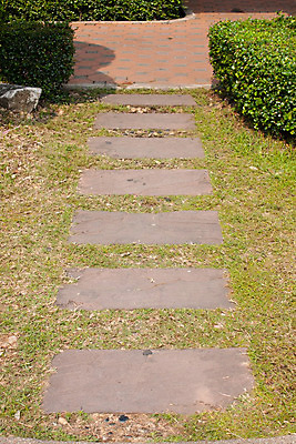 포토 JPG 해외이미지 나무 식물 공원 꽃 도로 길 백그라운드 잎 꽃무늬 곡선 자연 휴식 풍경 잔디 사람없음 야외 빨간색 초록색 여름 평화 정원 침묵 봄 산책 바위 시골 보행로 숲 오솔길 방향 원예 조경 쇼 일반 내추럴 땅바닥 루트 방법 양발 정중 해외202004 해외포토 계절 공공시설 선 컬러 컨셉 무늬 교통시설 바닥 취미 소리 돌_바위 생태계 파일형식 이미지허브