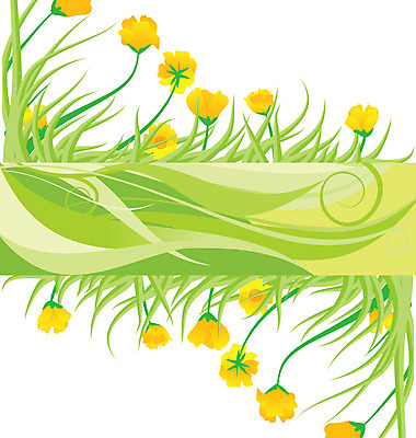 포토 JPG 해외이미지 식물 동물 디자인 기념일 꽃 종이 벽 백그라운드 잎 꽃무늬 오렌지 일러스트 자연 벽지 추상 프레임 사람없음 장식 빨간색 초록색 빛 컬러풀 갈색 노란색 봄 활발 수확 소용돌이 흰색 신용카드 질감 데이지 무당벌레 양귀비 그런지 엘리먼트 옛날 해외202004 해외포토 계절 컬러 곤충 컨셉 무늬 농업 과일 이벤트 금융 회오리 생태계 파일형식 이미지허브