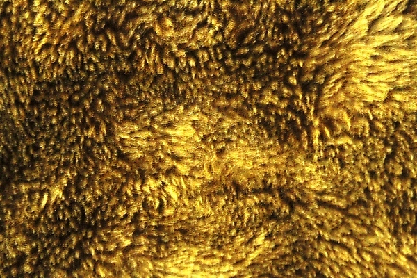 포토 JPG 해외이미지 백그라운드 사람없음 노란색 직물 섬유 해외202004 해외포토 컬러 파일형식 이미지허브