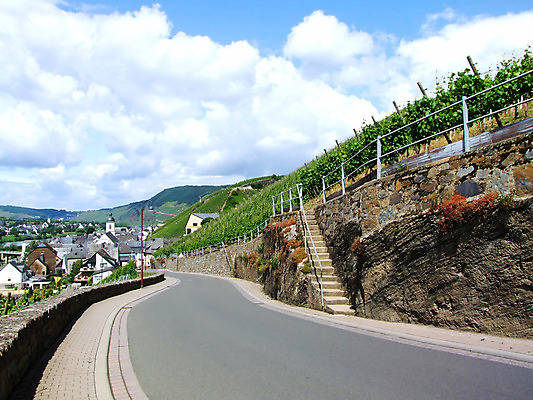 포토 JPG 해외이미지 사람없음 해외202004 해외포토 파일형식 이미지허브