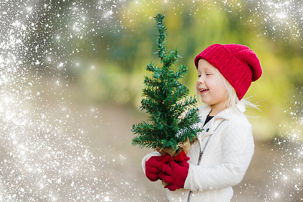 포토 JPG 해외이미지 나무 백인 계절 공원 여자 딸 행복 어린이 장갑 크리스마스 겨울 밭 추상 휴가 따뜻함 한명 야외 빨간색 청춘 크리스마스트리 농장 축제 유치원 가을 아기 잡기 도움 작음 걸음마 캡모자 효과 해외202004 손모아장갑 해외포토 서양인 식물 모자_잡화 1 잡화 공공시설 교육 기념일 감정 컬러 컨셉 무늬 농업 가족 모션 사람 크기 파일형식 이미지허브