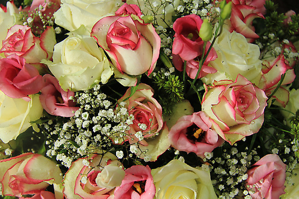 포토 JPG 해외이미지 식물 꽃잎 꽃 분홍색 꽃다발 결혼 백그라운드 컨셉 자연 탁자 결혼식 사랑 사람없음 장식 초록색 장미 흰색 그룹 배열 묘사 해외202004 해외포토 감정 컬러 가구 이벤트 생태계 파일형식 이미지허브