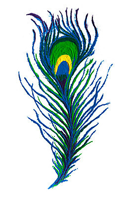 포토 JPG 해외이미지 디자인 백그라운드 일러스트 추상 미술 사람없음 장식 초록색 파란색 컬러풀 흙 흰색 우아함 공작 가루 깃털 묘사 그림 고립 이국적 핸드메이드 해외202004 해외포토 컬러 컨셉 무늬 조류 문화예술 파일형식 이미지허브