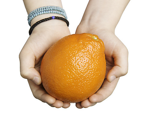 포토 JPG 해외이미지 손 길 음식 농업 다이어트 오렌지 과일 재료 손가락 디저트 친절 건강 관리 선물 사람없음 정원 수확 성장 흰색 신선 잡기 최고 달콤 맛 자르기 먹기 주기 날것 공유 내추럴 고립 숙성 영양분 채식주의자 제의 해외202004 해외포토 산업 컬러 컨셉 모션 신체부위 채식 파일형식 이미지허브