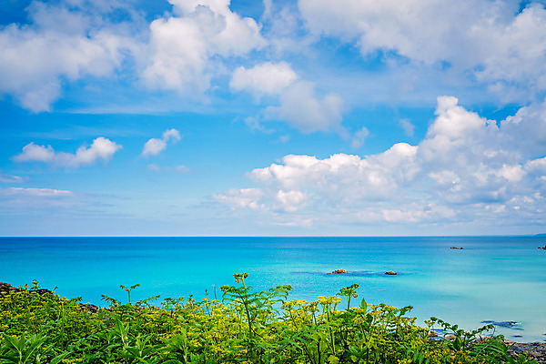 포토 JPG 해외이미지 식물 영어 꽃 바다 밭 농업 영국 잉글랜드 풍경 사람없음 초록색 물 여름 울타리 컬러풀 햇빛 환경 봄 시골 개화 4월 터키석 수평선 카피스페이스 그리너리 콘월 해외202004 해외포토 자연요소 문자 계절 유럽 산업 컬러 담장 태양 공백 날짜 보석 파일형식 트랜드컬러 이미지허브
