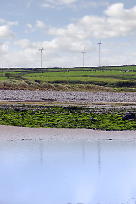 포토 JPG 해외이미지 구름 모래 바다 자연 하늘 휴가 풍경 사람없음 초록색 물 파란색 반사 평화 힘 새벽 추위 잡초 소 해조류 황금 덮기 암초 아일랜드 다시마 서쪽 잔물결 헤드랜드 해외202004 해외포토 자연요소 식물 유럽 물결 컬러 컨셉 포유류 모션 해양식물 방향 생태계 파일형식 이미지허브