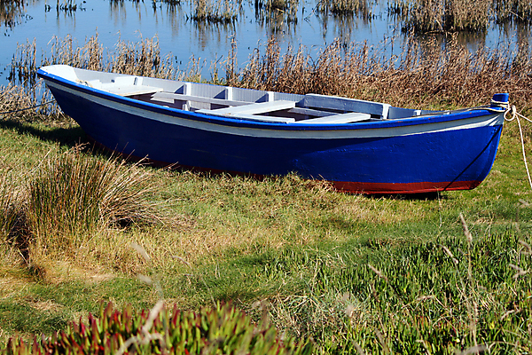 포토 JPG 해외이미지 낚시 풍경 사람없음 초록색 물 파란색 강 정원 보트 해외202004 해외포토 자연요소 컬러 배_교통 레저 파일형식 이미지허브