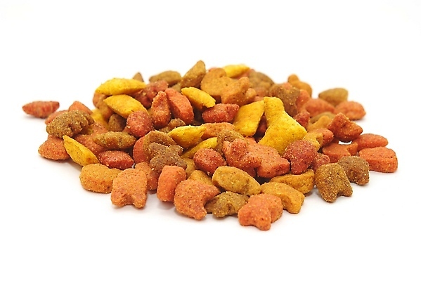 포토 JPG 해외이미지 동물 음식 건조 건강 사람없음 반려동물 저녁식사 고양이 먹기 배고픔 가득함 통조림 흙더미 고립 해외202004 해외포토 포유류 모션 식사 흙 파일형식 더미 이미지허브