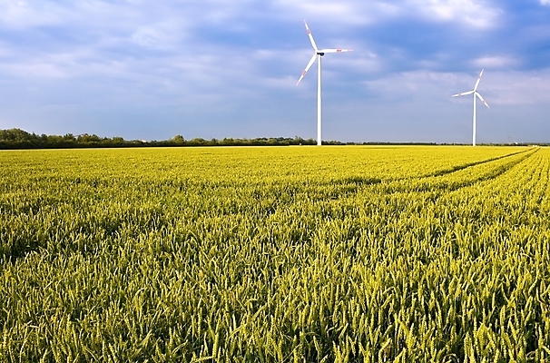 포토 JPG 해외이미지 구름 농업 하늘 독일 건강 풍경 사람없음 초록색 파란색 농작물 농장 노란색 환경 맑음 힘 재활용 풍차 에너지 수확 시골 풍력에너지 밀 순수 그림 유기농 생태계 밭일 생태학 해외202004 해외포토 자연요소 웰빙 교육 유럽 산업 컬러 컨셉 날씨 곡류 그린에너지 친환경 파일형식 이미지허브