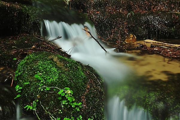 포토 JPG 해외이미지 나무 식물 계절 공원 잎 자연 아침 휴식 이끼 풍경 사람없음 야외 초록색 물 여름 빛 강 평화 환경 고요 봄 폭포 젖음 흐름 추위 가을 바위 신선 개울 급류 떨어짐 숲 열대우림 내추럴 양치류 해외202004 해외포토 주간 자연요소 공공시설 컬러 컨셉 돌_바위 생태계 파일형식 이미지허브
