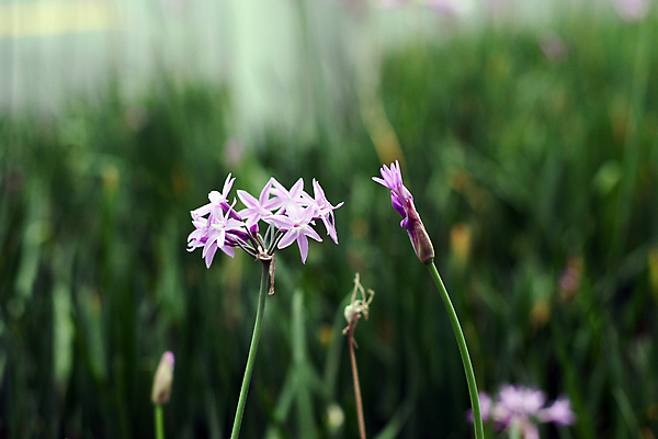 포토 JPG 해외이미지 사람없음 해외202004 해외포토 파일형식 이미지허브