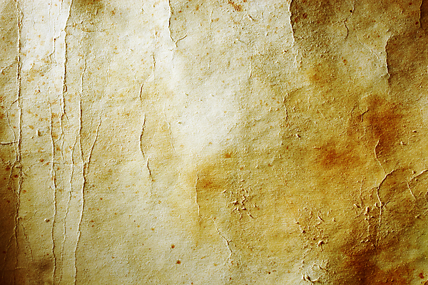 포토 JPG 해외이미지 디자인 종이 백그라운드 컨셉 표면 미술 사람없음 갈색 공백 수확 골동품 거친 역사 질감 복고 페이지 그런지 세피아 양피지 옛날 카피스페이스 해외202004 해외포토 컬러 농업 문화예술 촬영기법 파일형식 이미지허브