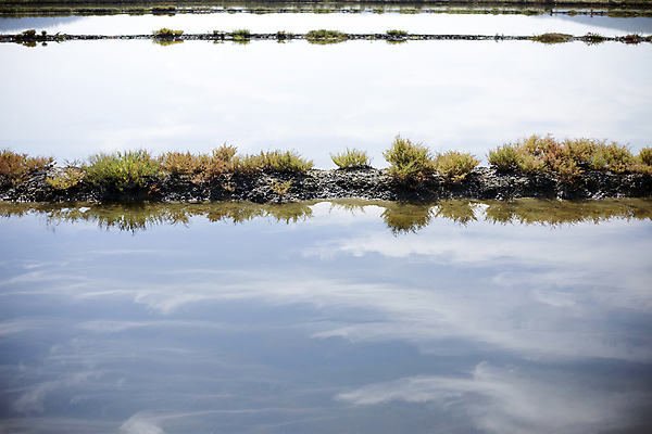 포토 JPG 해외이미지 산업 전통문화 호수 음식 바다 여행 백그라운드 재료 자연 하늘 풍경 사람없음 야외 물 여름 파란색 태양 농장 반사 갈색 맑음 일몰 흰색 물방울 농부 숲 크리스탈 향신료 소금 흙더미 우크라이나 절임 짠맛 해외202004 해외포토 자연요소 직업 전통 계절 유럽 문화 컬러 농업 날씨 노을 흙 맛 광석 생태계 향미료 파일형식 더미 이미지허브